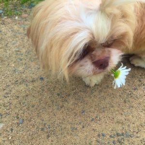 Meet your Posher, Brenda